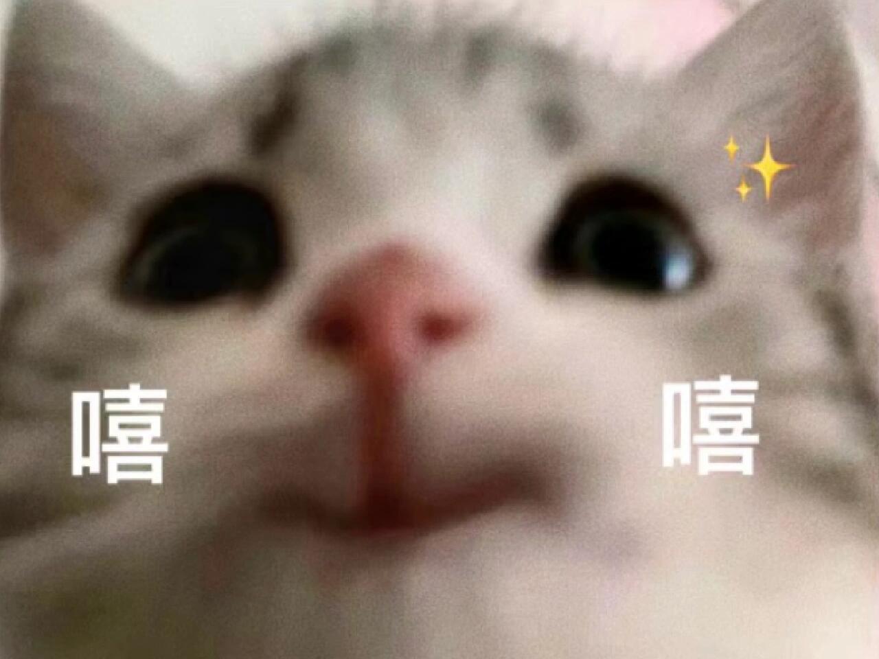 嘿嘿嘿，姜怜怜，姜大士，我都又听到了～这个木西木木还是太有福气了嘿嘿嘿，嘿嘿嘿，