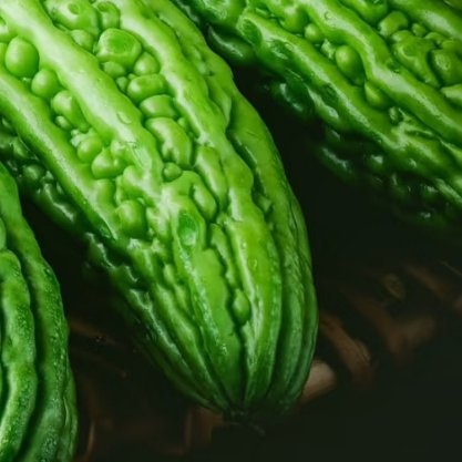 苦瓜的种植方法  一、选种与催芽：选择饱满、无病虫害的苦瓜种子，用温水浸泡6-8