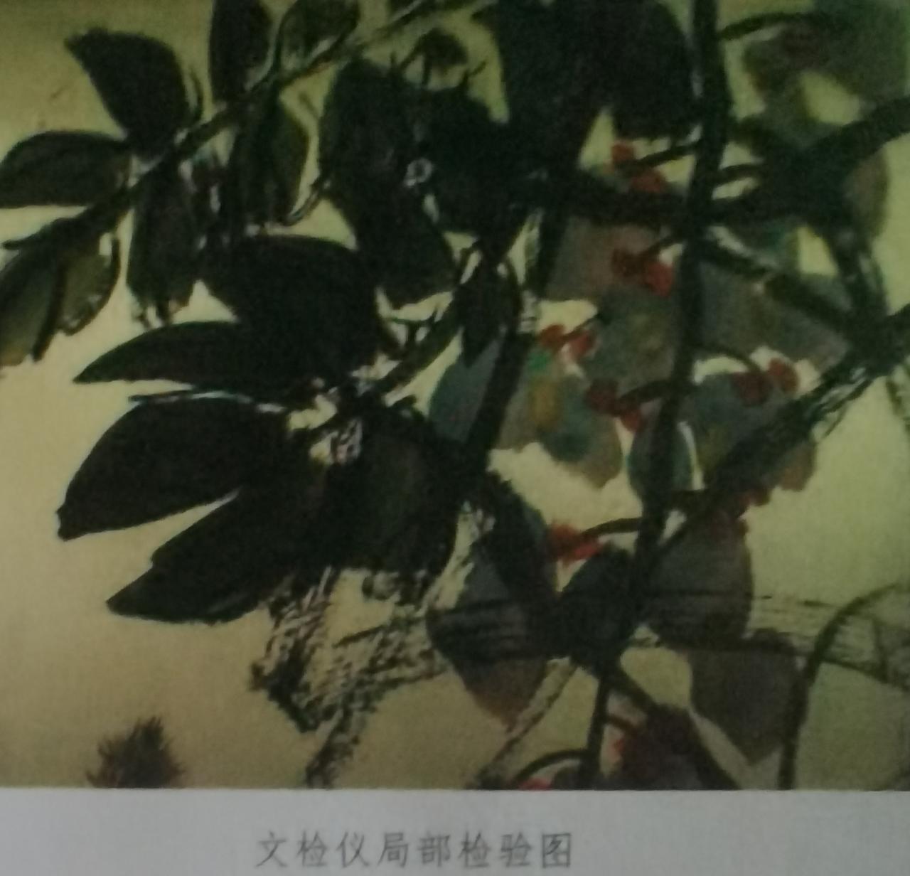 文鉴仪下的效果

原来是这样的，在这样的效果下、就敢于出具结果评判画的质量…
