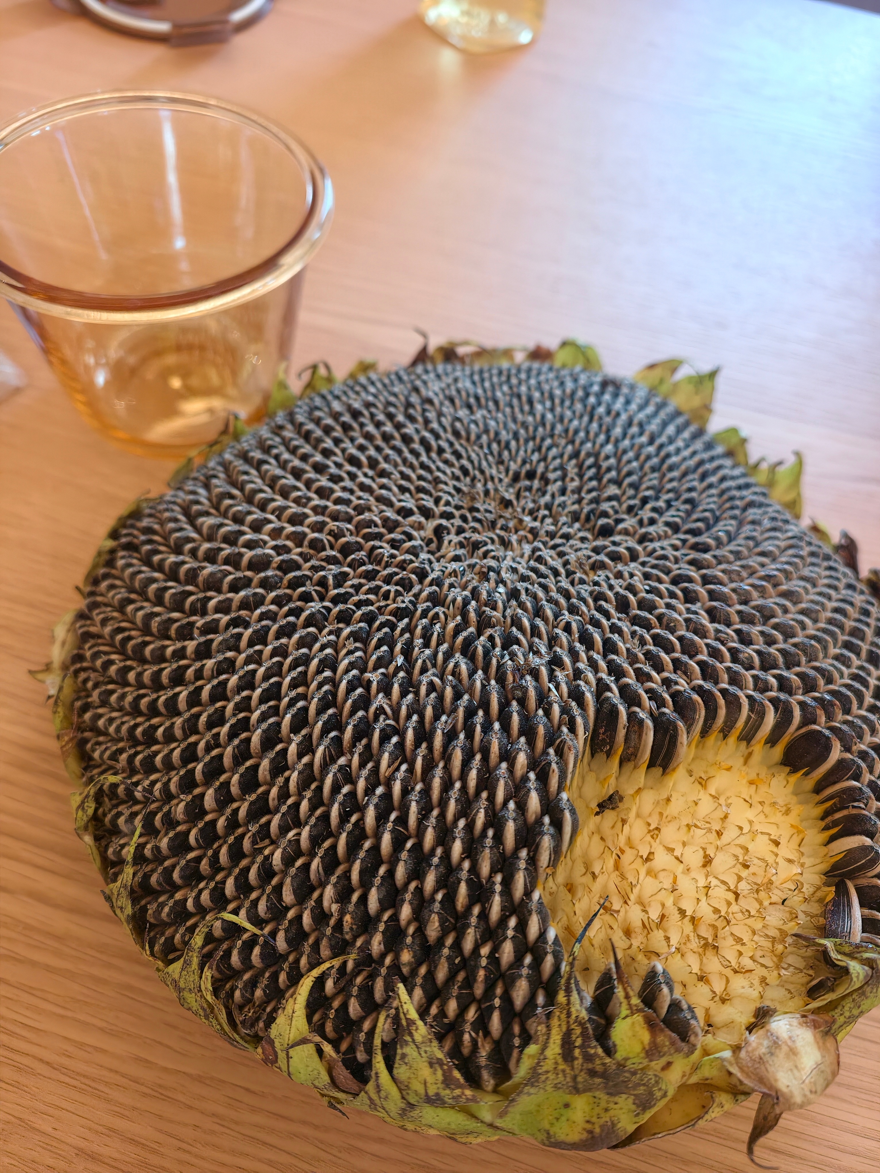 今天的工作，在家抠小吕的葵花子[老师好][老师好][老师好]怎么都说要炒一下，我