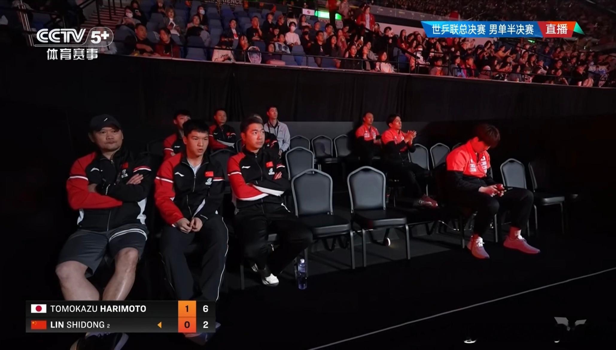 林诗栋vs张本智和 观赛区👀 