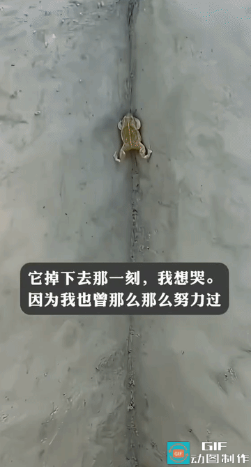一只青蛙，像极了我们这些小人物的一生！
 
看完瞬间鼻酸破防。
 
窄窄一道墙缝