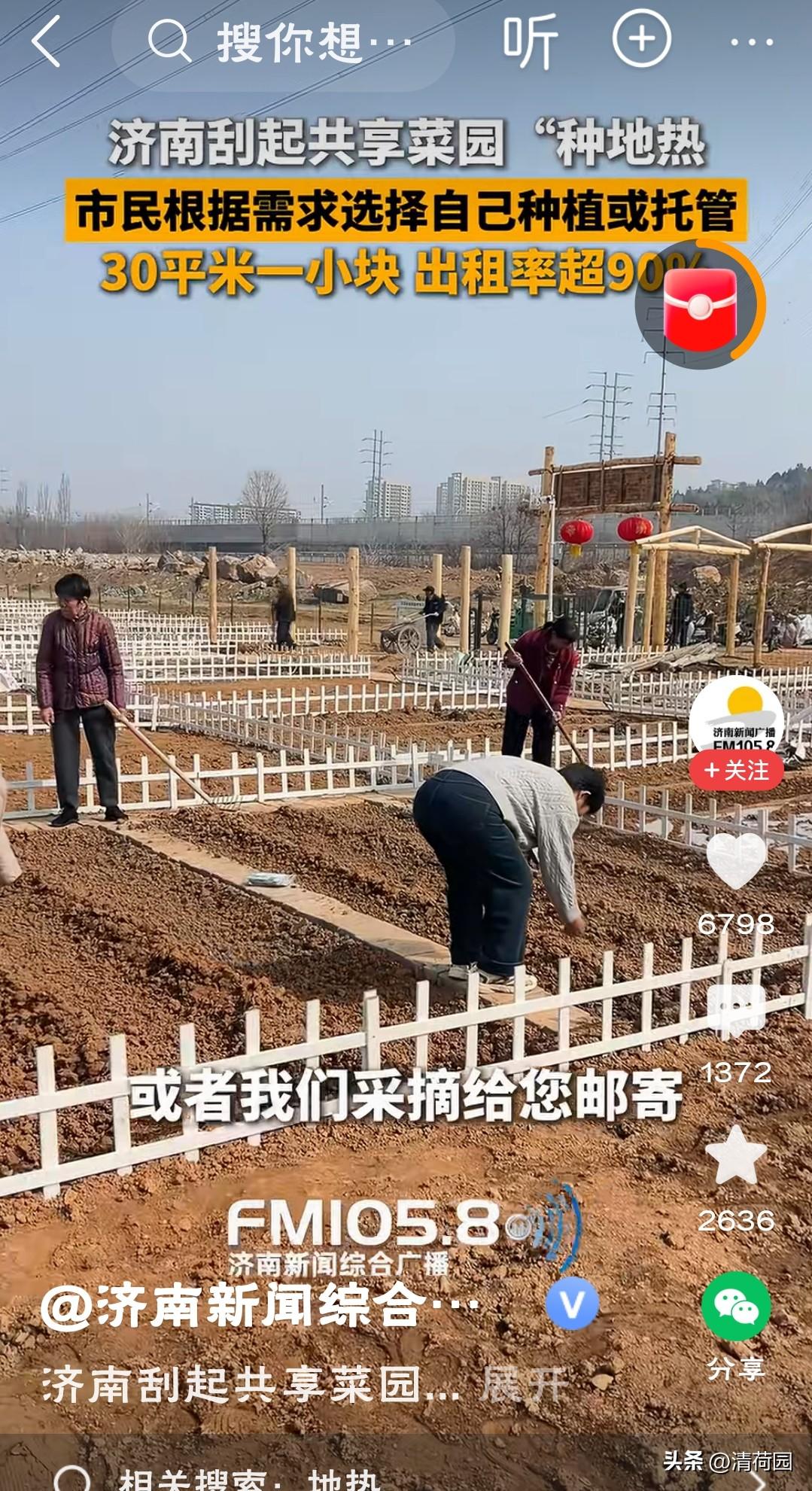 从“种菜”到“种生活”：共享菜园热背后的都市心灵突围
济南共享菜园超90%的出租