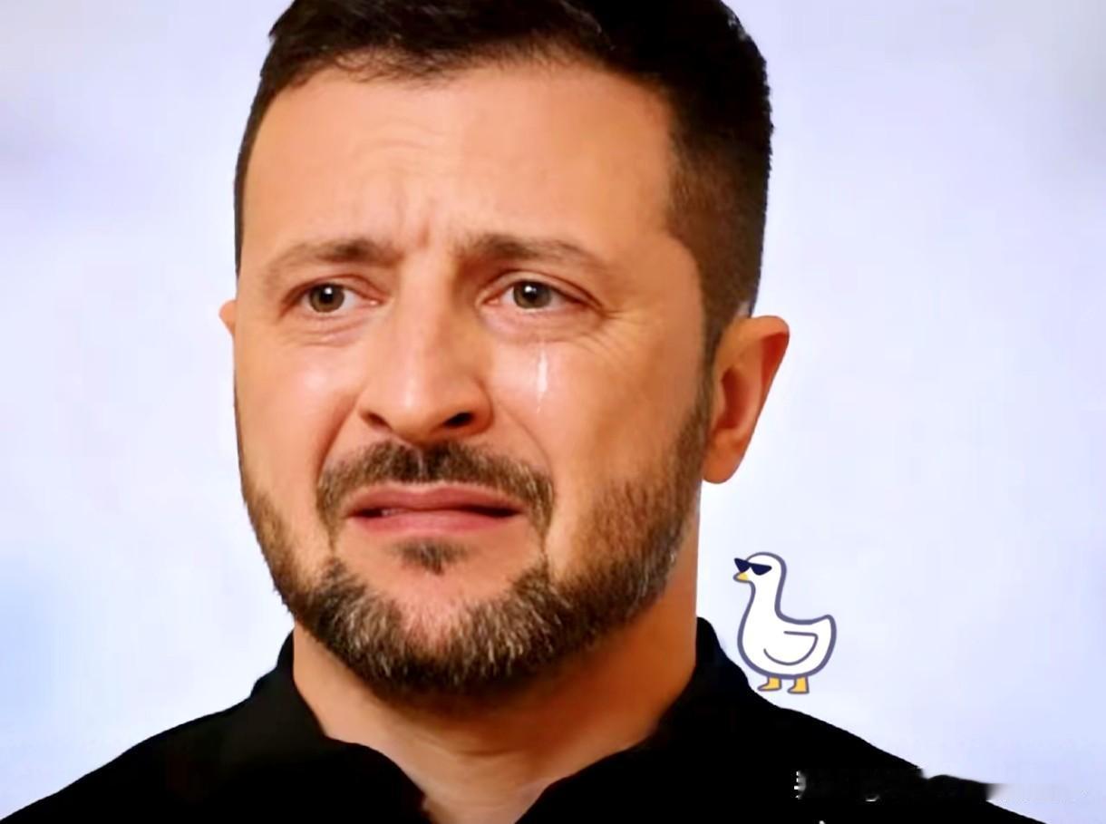 谈崩了！

央视新闻刚曝出大消息：乌克兰外交部直接官宣，今年年底前彻底暂停和俄罗