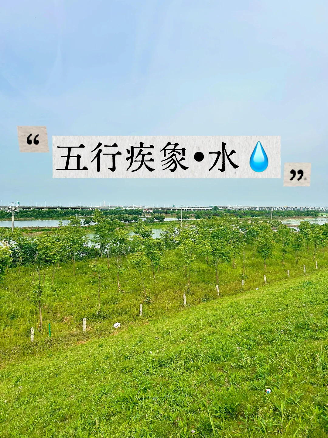 五行疾象•水💧