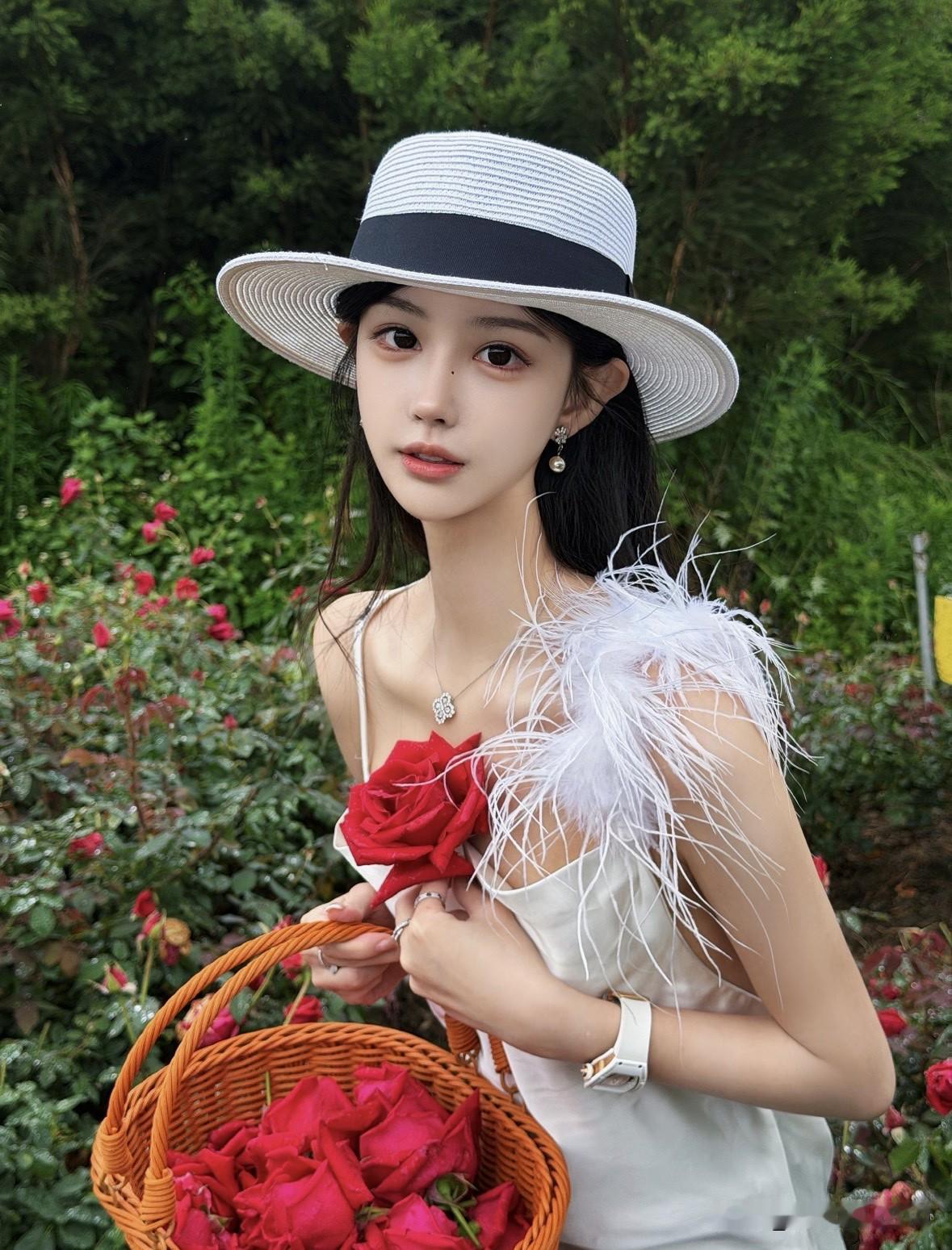 玫瑰与少女