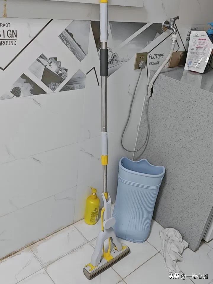 买东西还得买贵的。
大女儿买了一个海棉拖把，花了一百六十八，我说她太败家，她说，