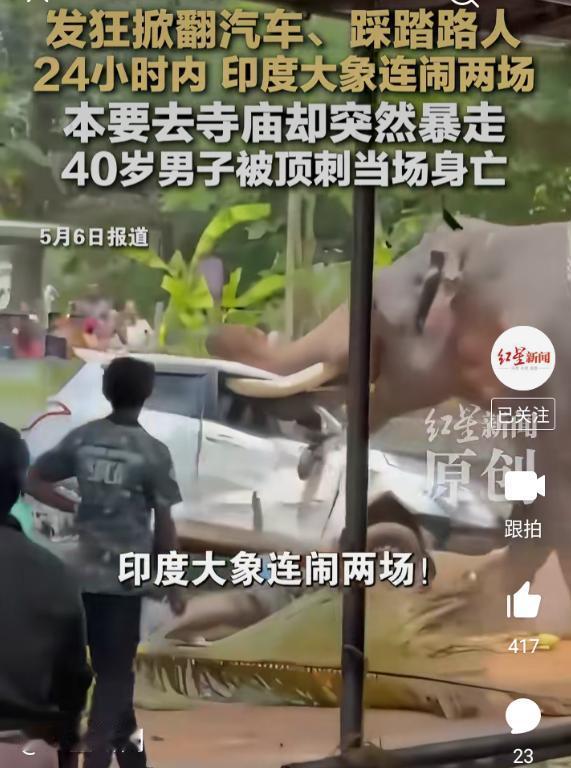 全球大象无产阶级联合起来暴动起义了......