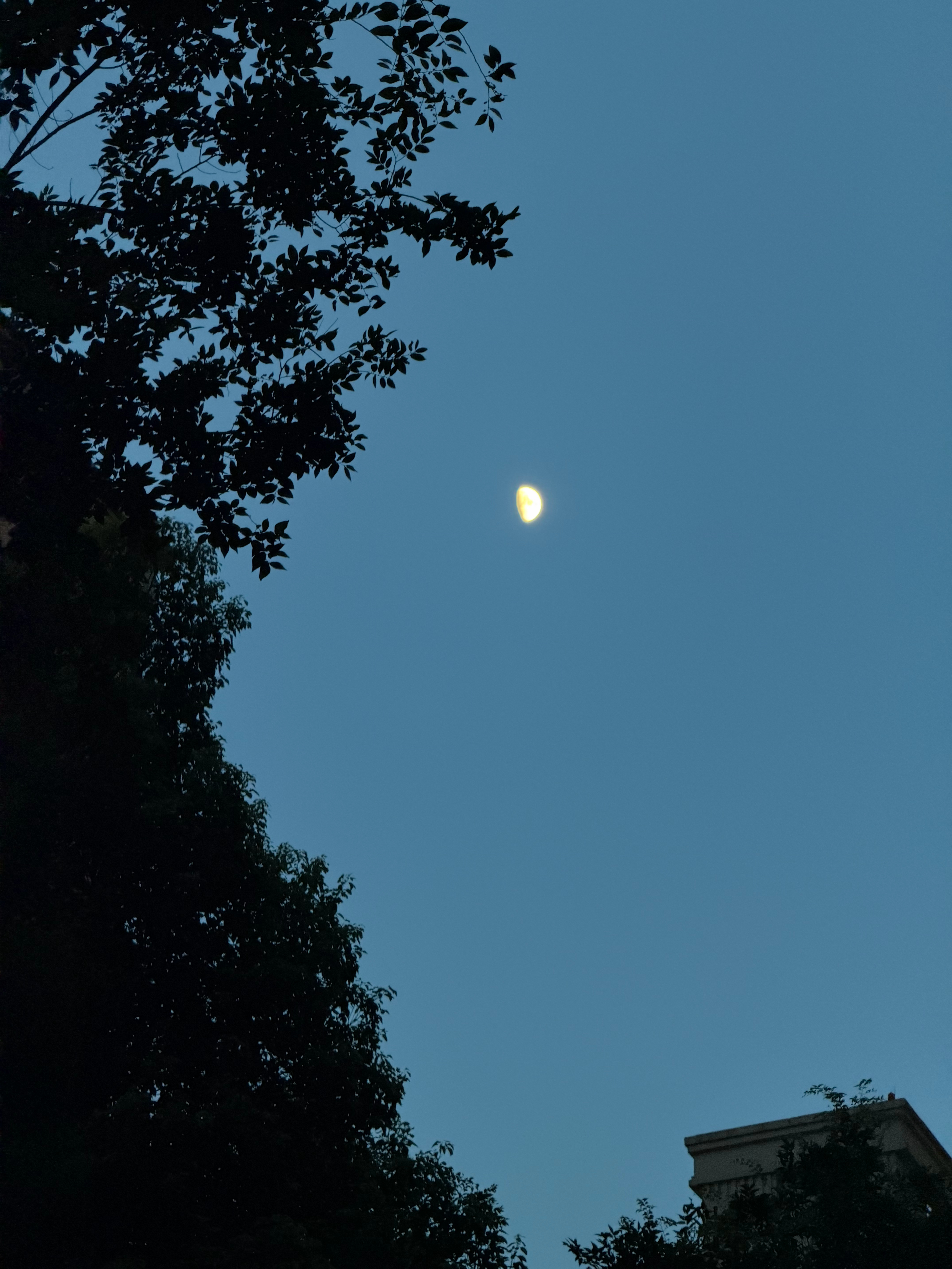 🌙 