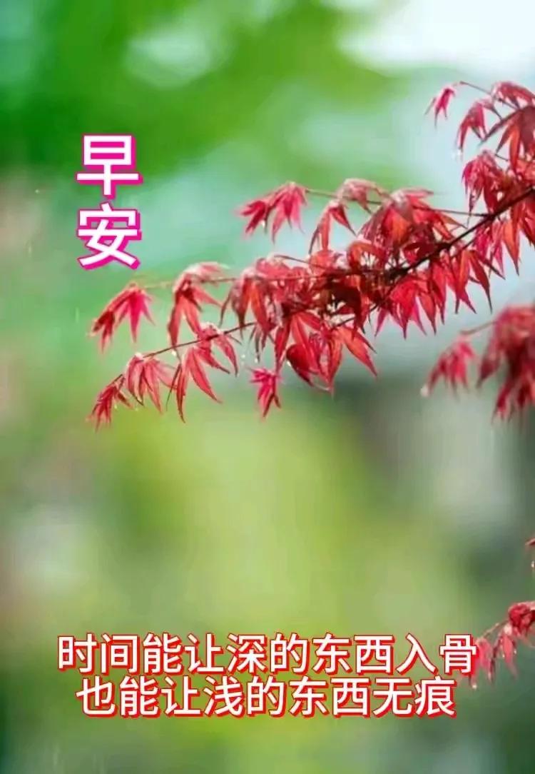 夜醒三更，思其文、武精神之感慨。。。。
#人生、历史的一些小㇏感悟#

文字，似