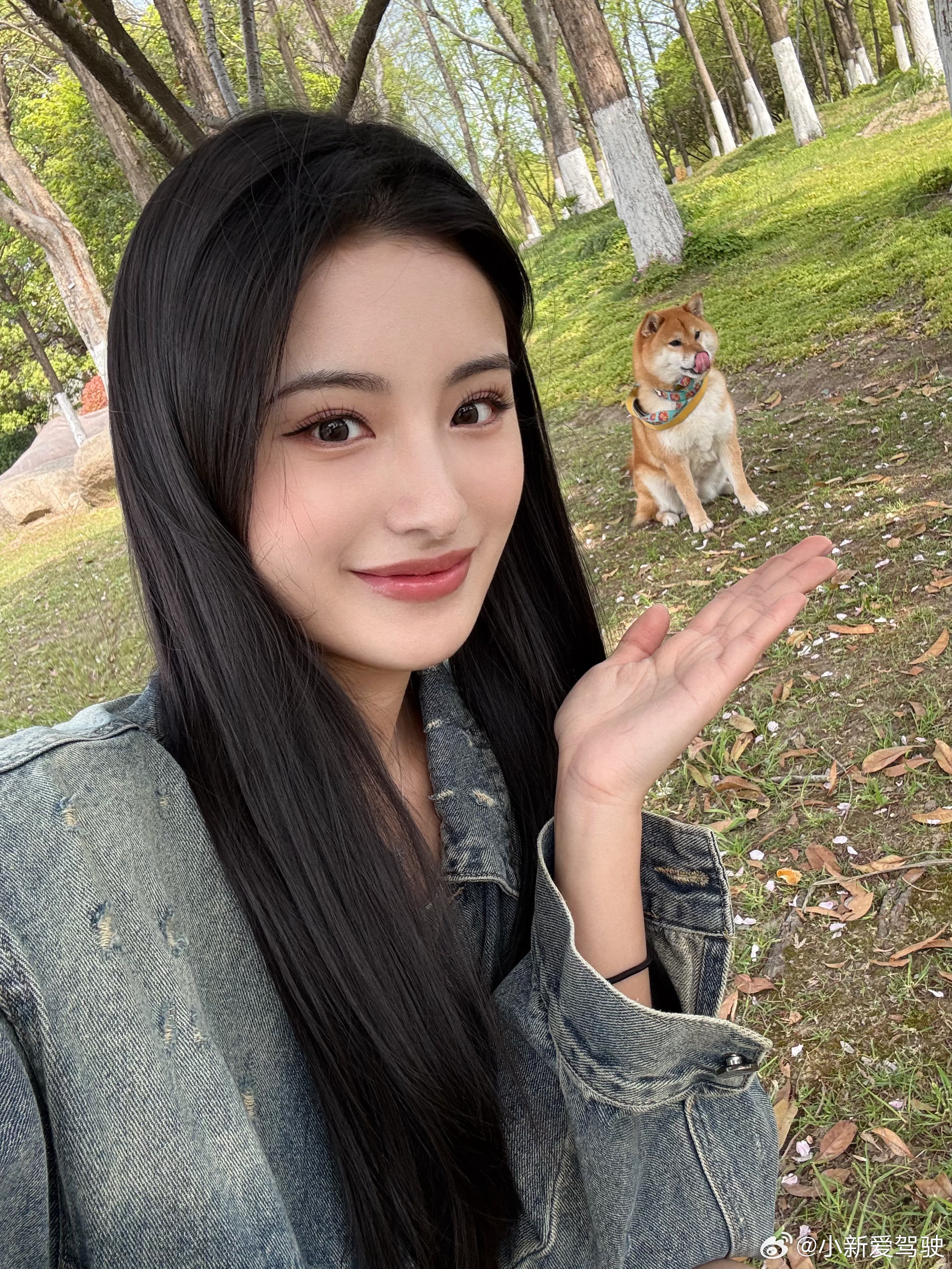 父亲节快乐！身为海胆又当爹又当妈的饲养员，带着小狗祝所有爸爸节日快乐，事事顺心～