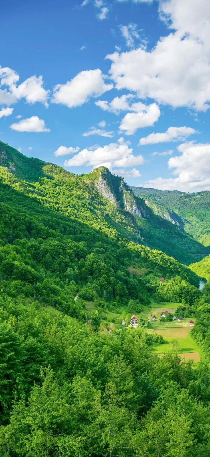 被青山绿水治愈了⛰️