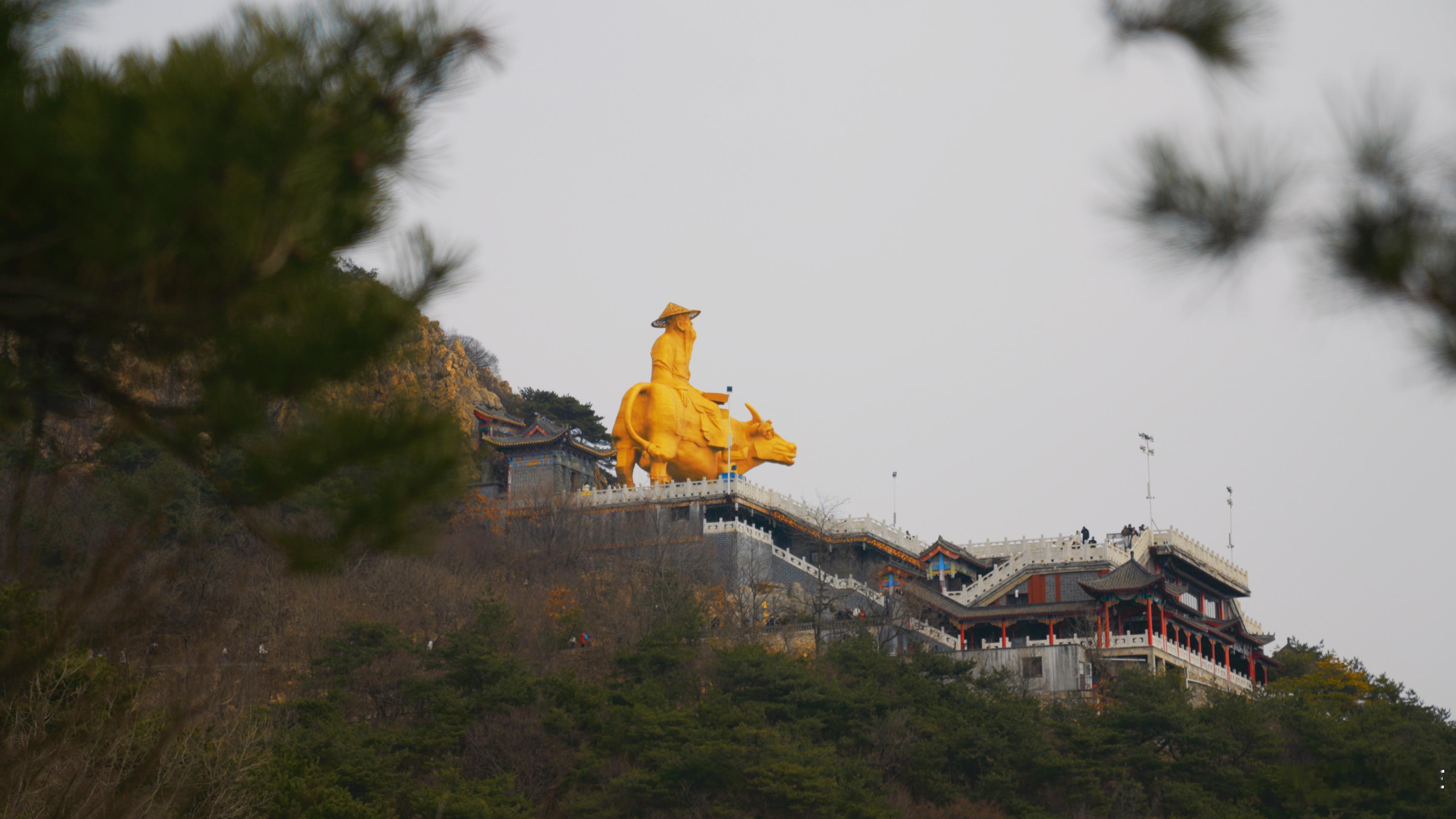 今年的杏梅花才是大孤山真顶流，是真的好看。颜色干净，粉里带白，贴着老宅和木门展开