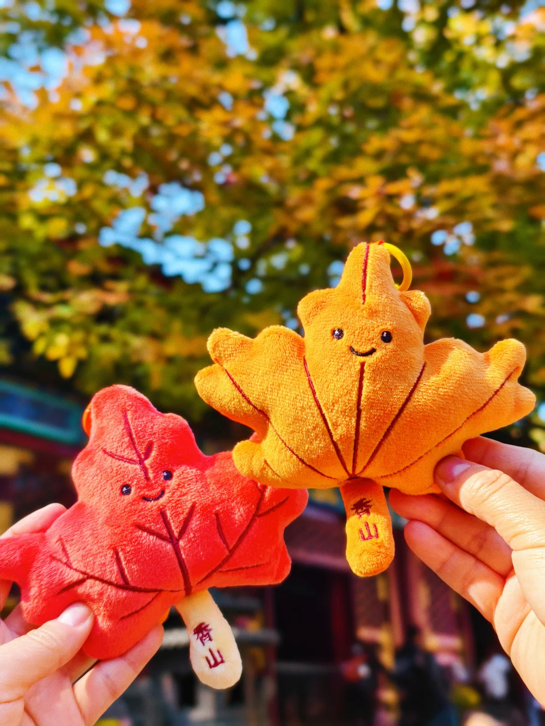 香山公园也有自己的jellycat！