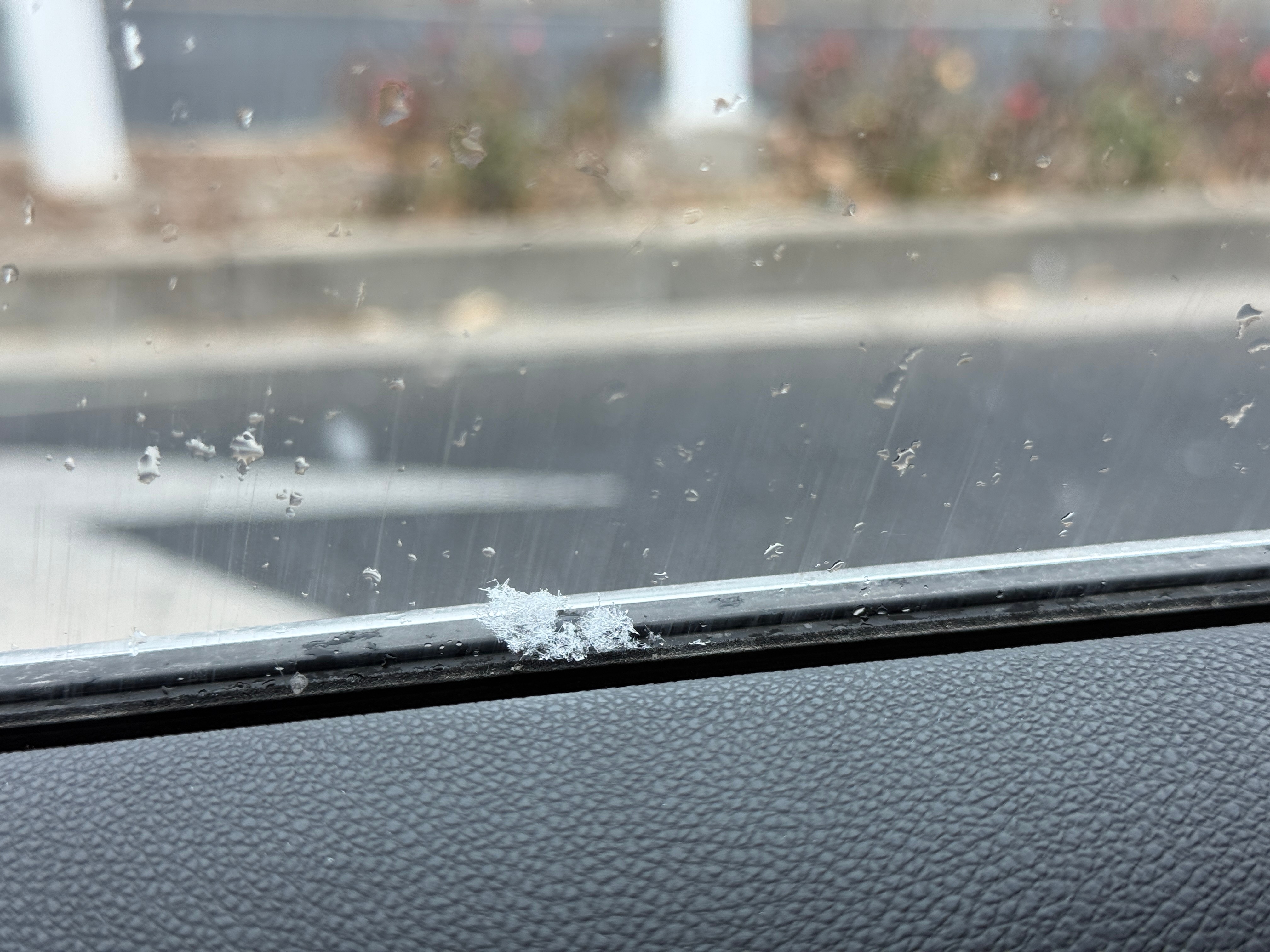 上海好久没有下过这么大的雪了 上海下雪