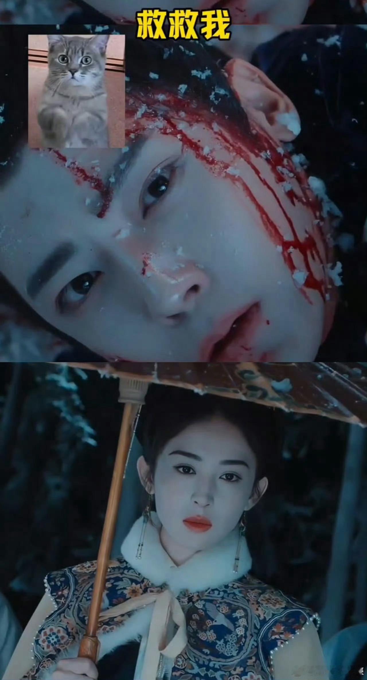 侯明昊娜扎姐猫cp玉茗茶骨姐猫cp太好嗑了🌿！娜扎明艳飒爽姐姐范十足，侯明昊软