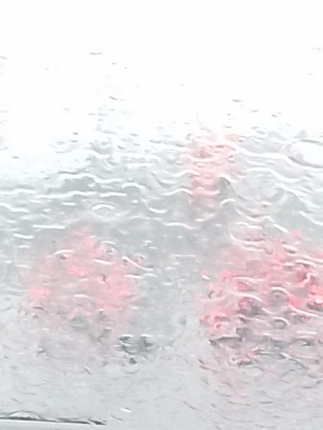 前方红绿灯🚥都看不清楚，被一场暴雨困住，索性静坐车内 