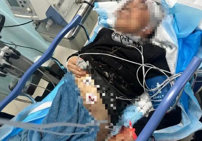 “必须严惩！”吉林长春，62岁老人在徒步时，突然被从附近院子冲出的7只大狗扑倒。