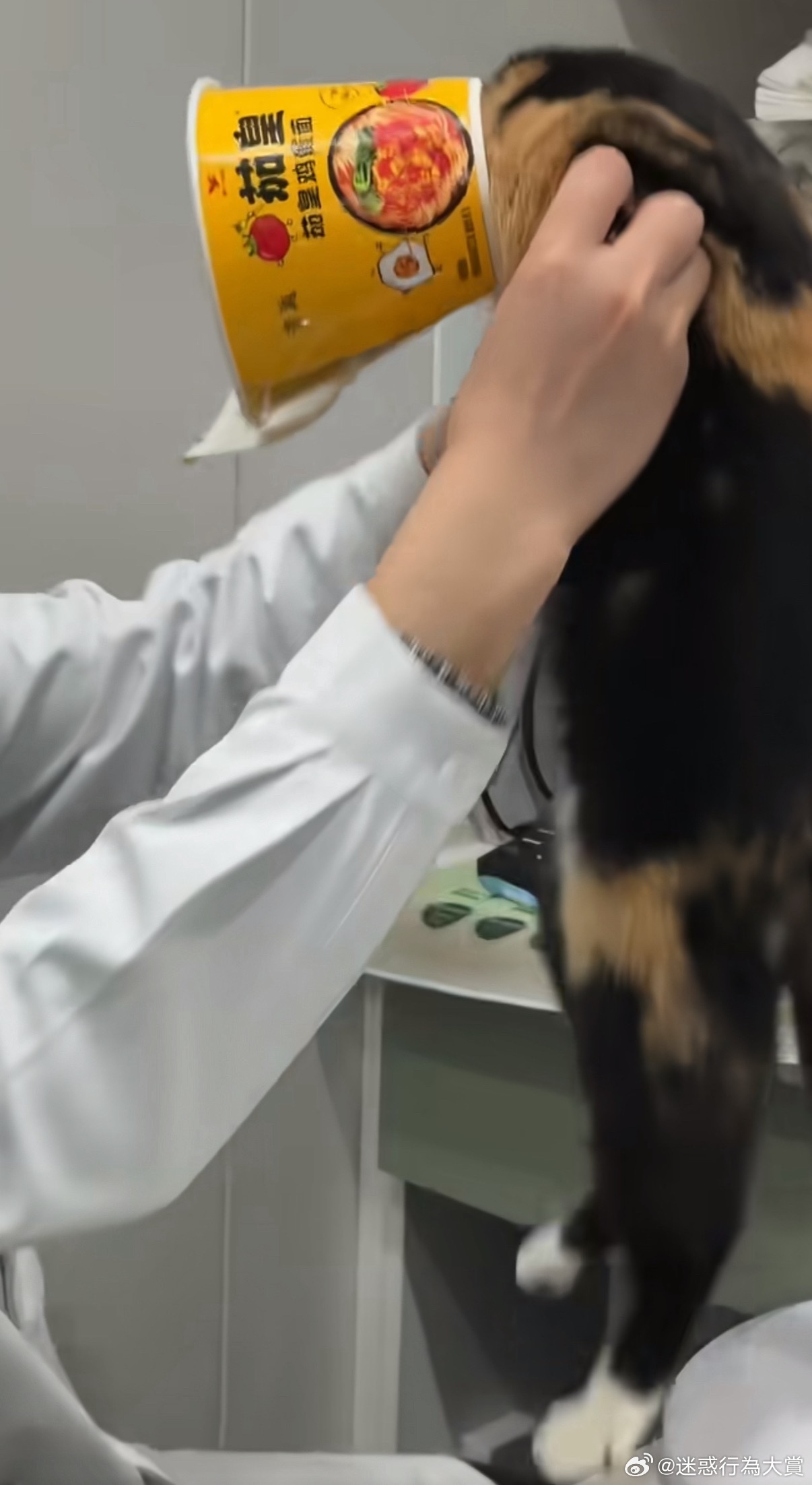 什么牌子的伊丽莎白圈？ 