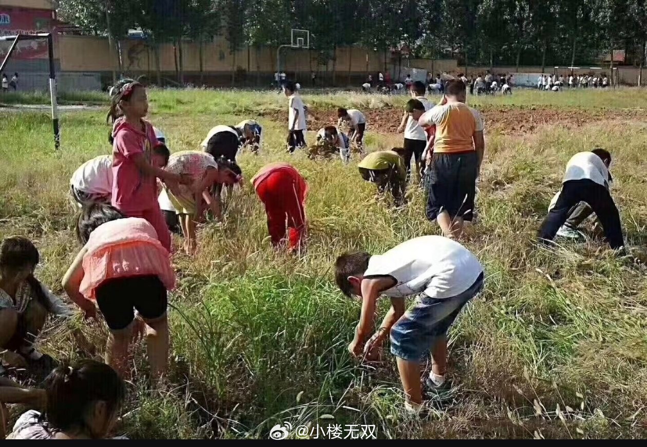 学校不应该仅仅只是教授学习课本内的知识，一组照片告诉你教室卫生究竟该谁打扫！ ​