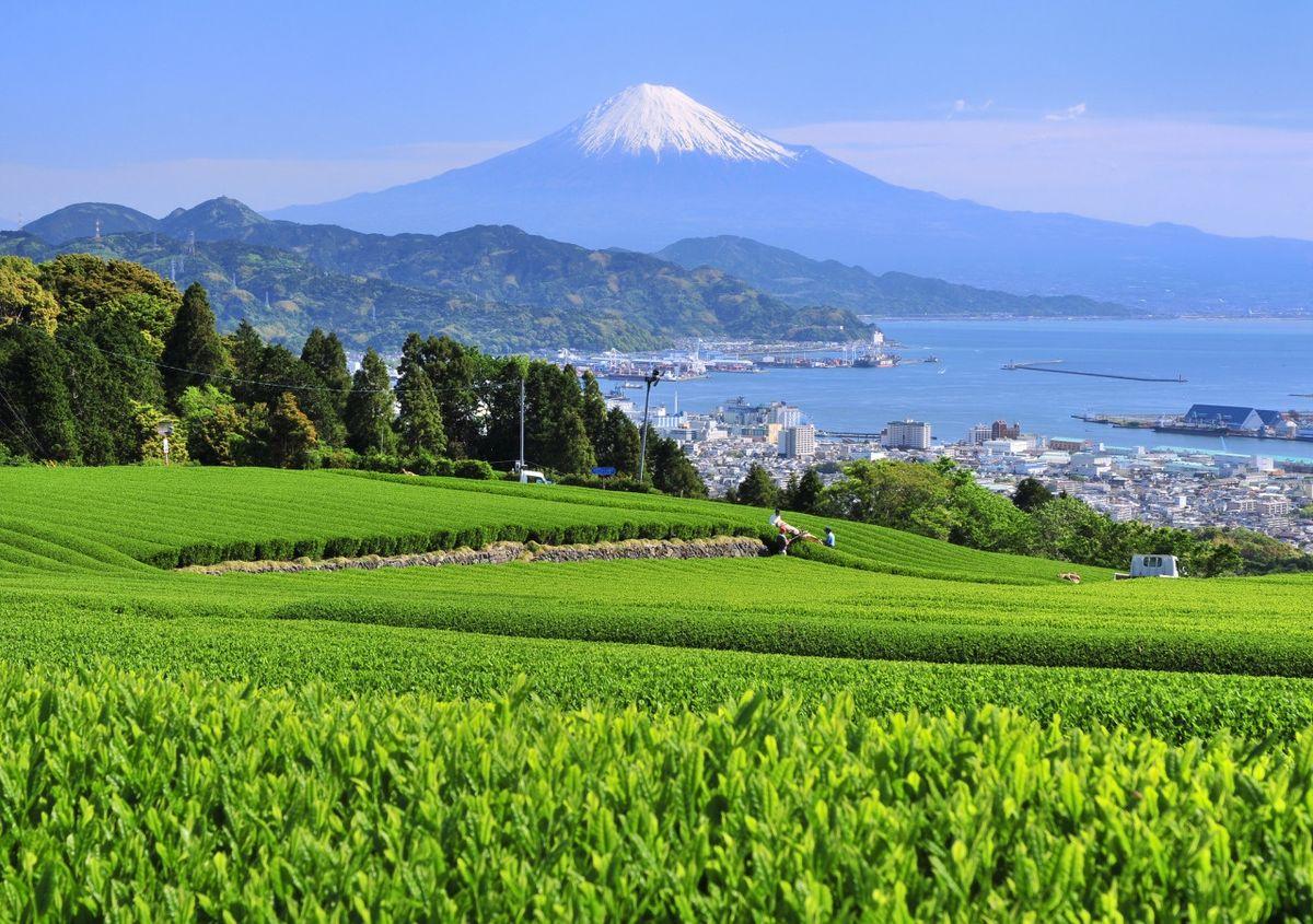富士山喷发等灾害如何防备？日本防灾大臣称将发出“紧急呼吁”，敦促民众储备至少3天