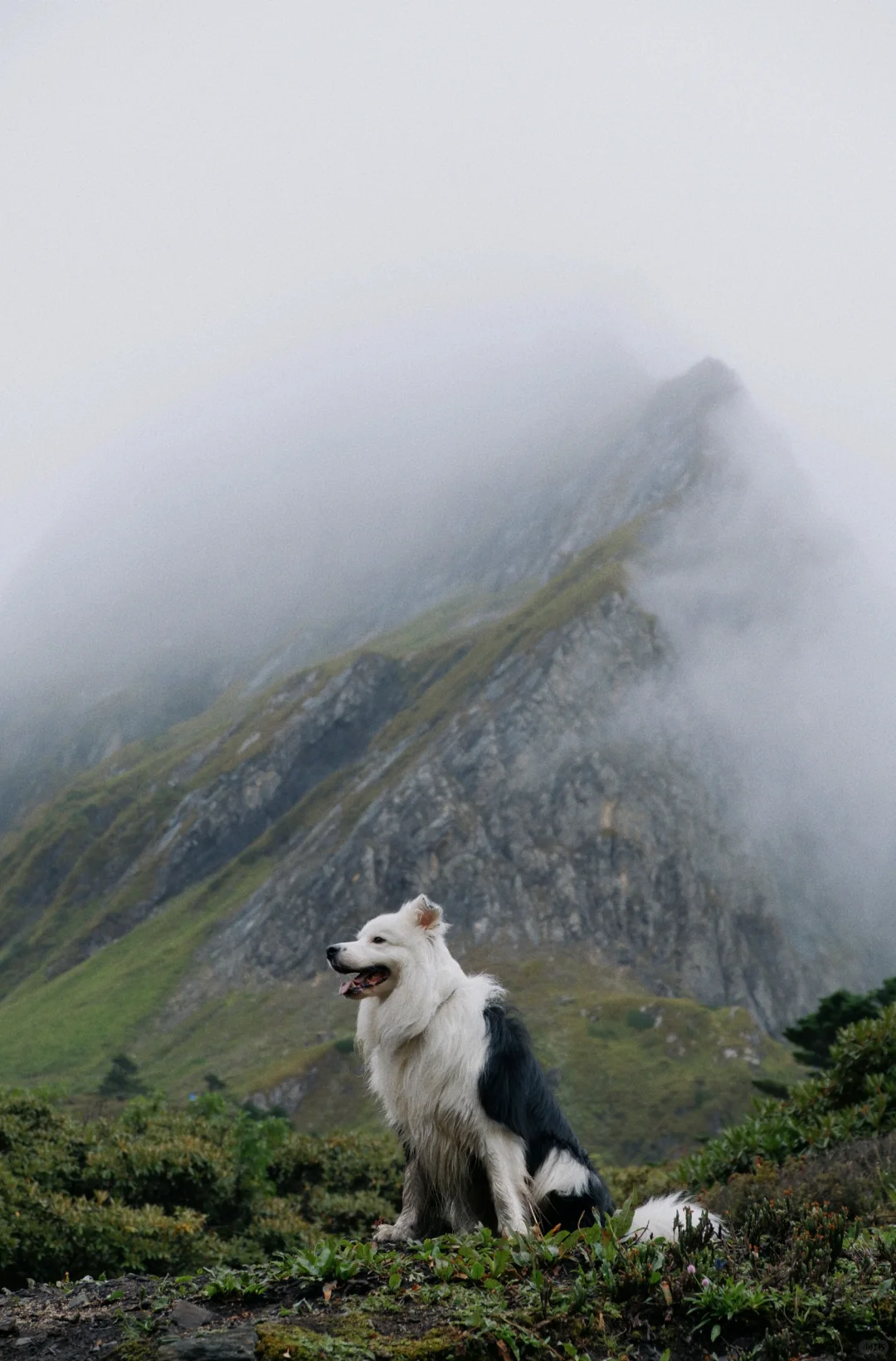 南极洛🥹避开人潮拍出独特美景