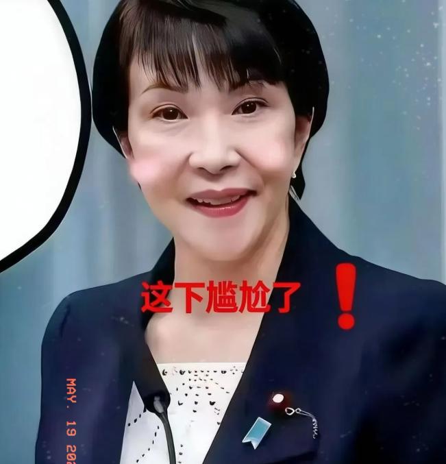 当地时间5月18日，日本方面透露，预计6月举行的2026年上海国际电影节将不会举