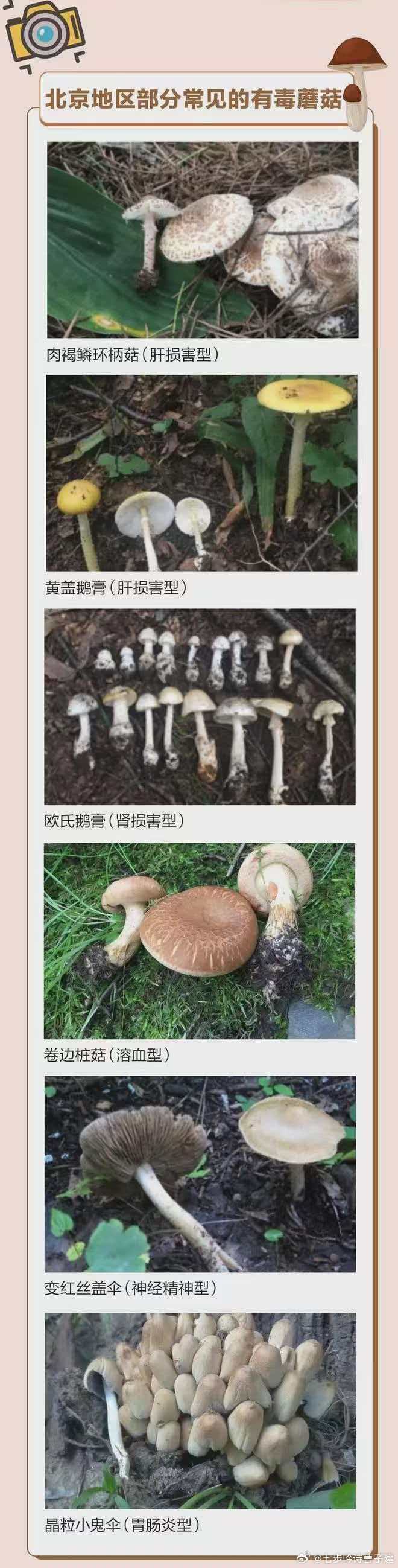 完了我看不出来 