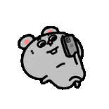 可爱又好玩的大鼠动图表情包来咯 