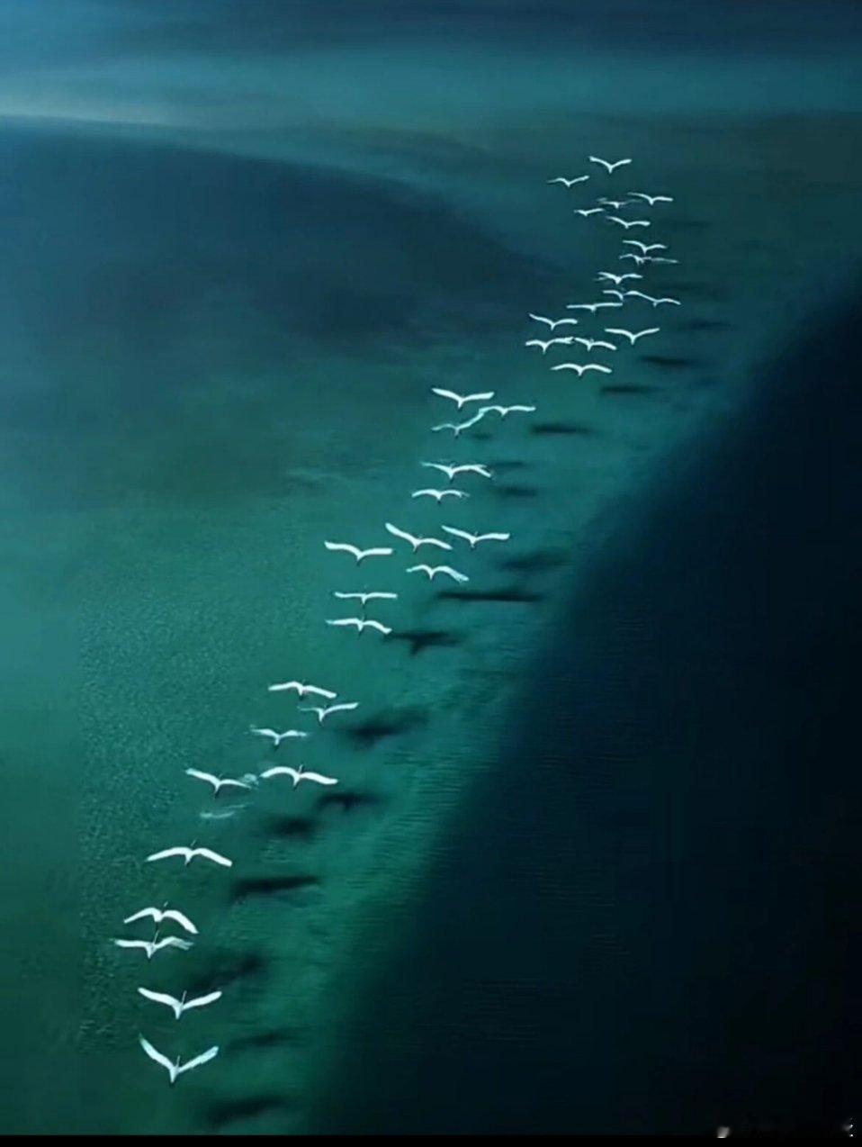 自省者明，认得清位置，活得清醒顺意；自律者稳，做得了小事，遇事不慌不忙；自愈者智