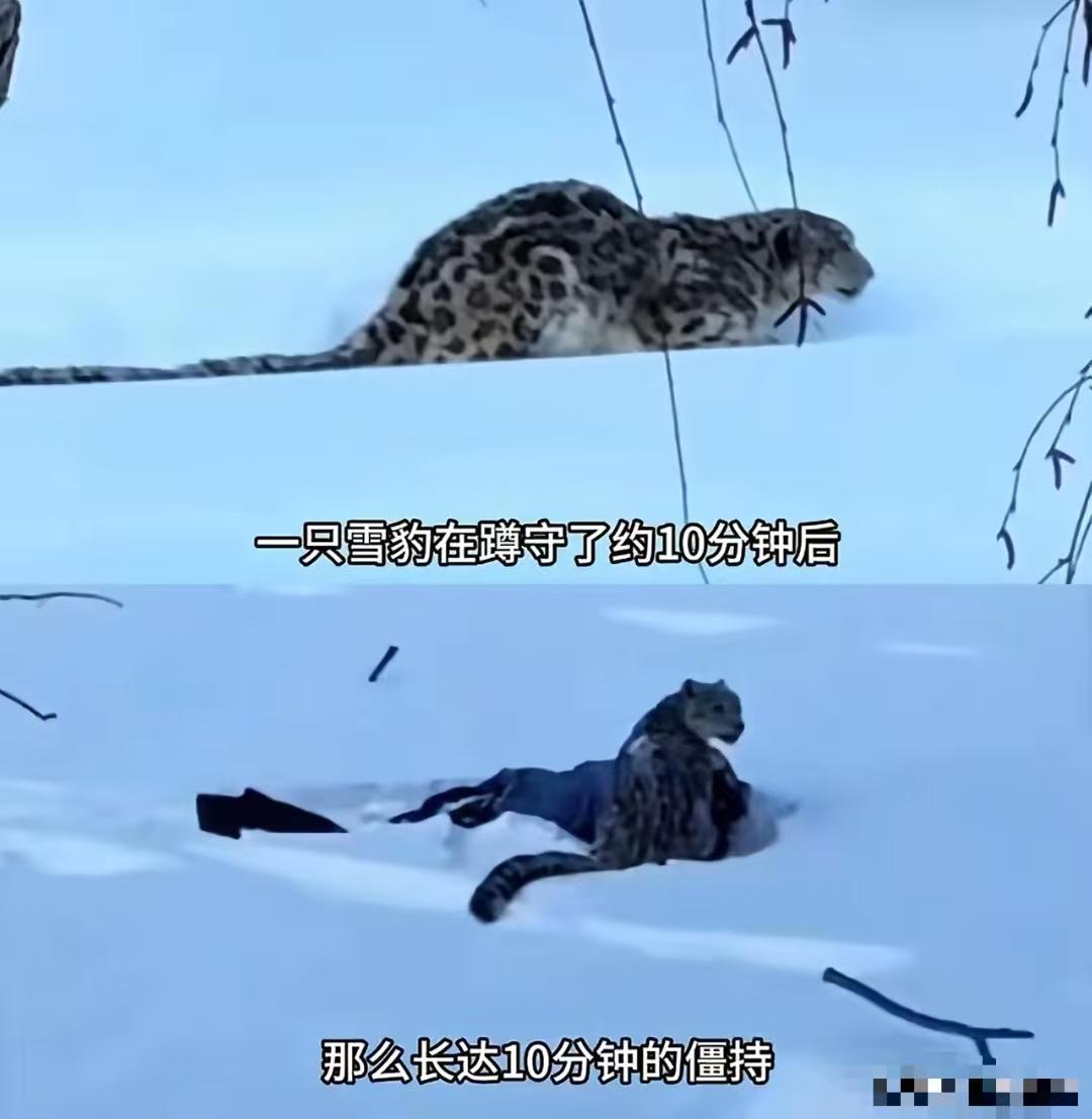 最近看网文创作教程，我发现个有意思的现象，那就是好故事总爱从真实事件里找灵感。