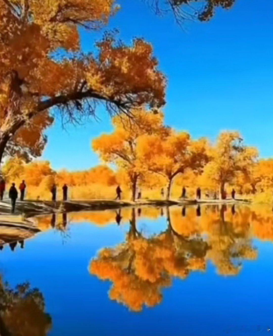 在经历了上周黑色星期五A股市场暴跌的行情后，今天的A股稍有反弹：东方财富App显