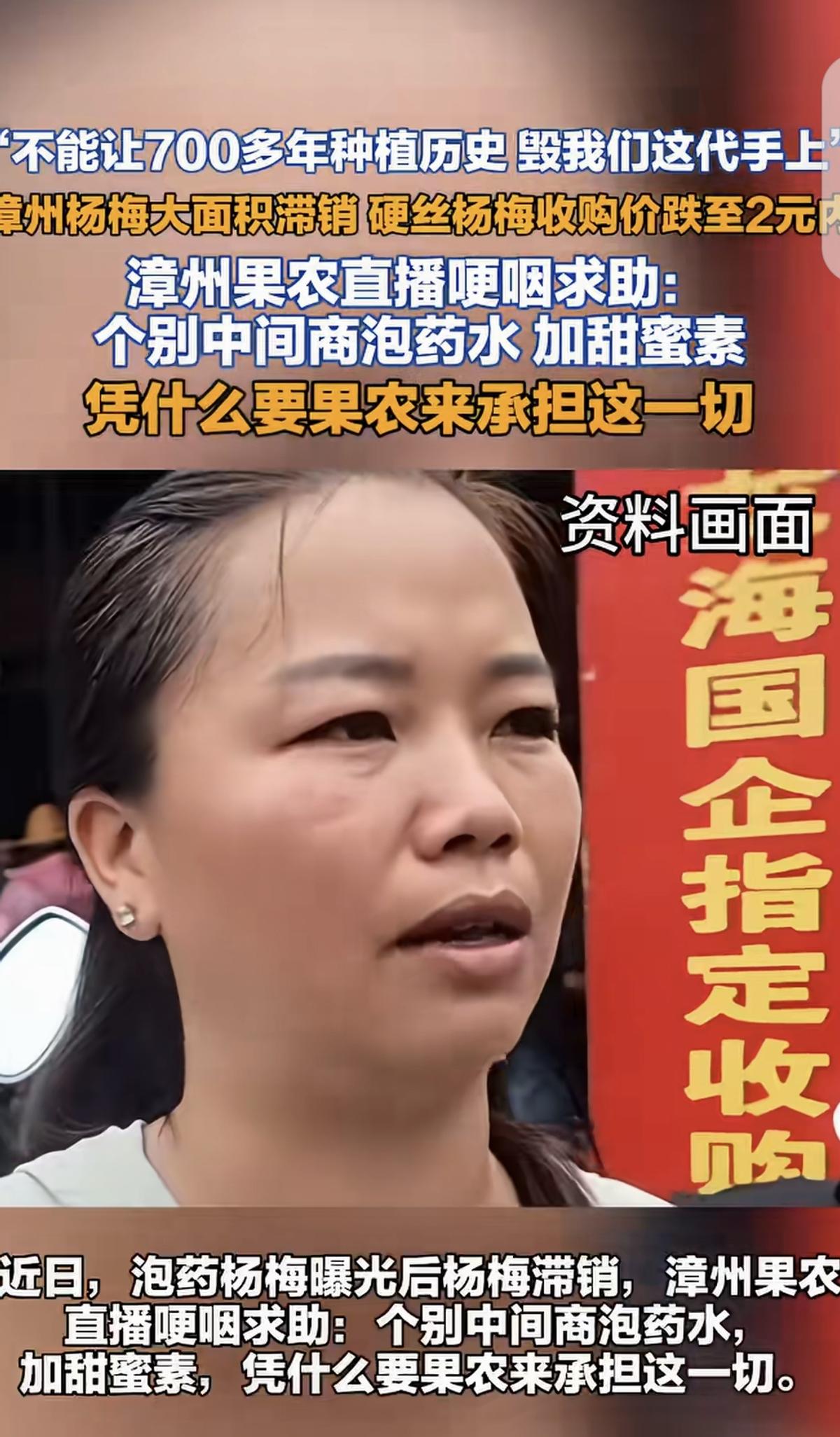 “”吃毒杨梅的还没哭，卖毒杨梅的倒先哭了！”福建漳州，一女子家祖祖辈辈种杨梅，可