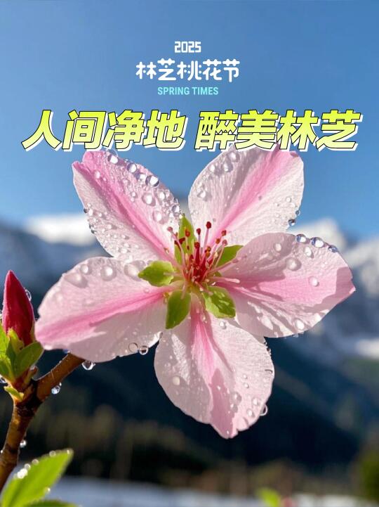人间净地・醉美林芝