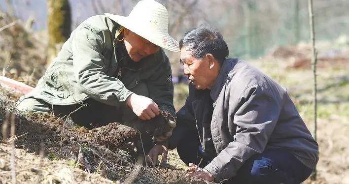 送别罗官章：最后的38.83元