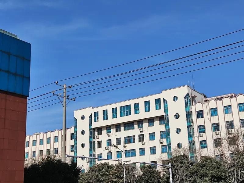 真相大白了，为什么总共八栋楼烧了七栋，只有一栋躲过一劫？不是这栋距离比较远，也不