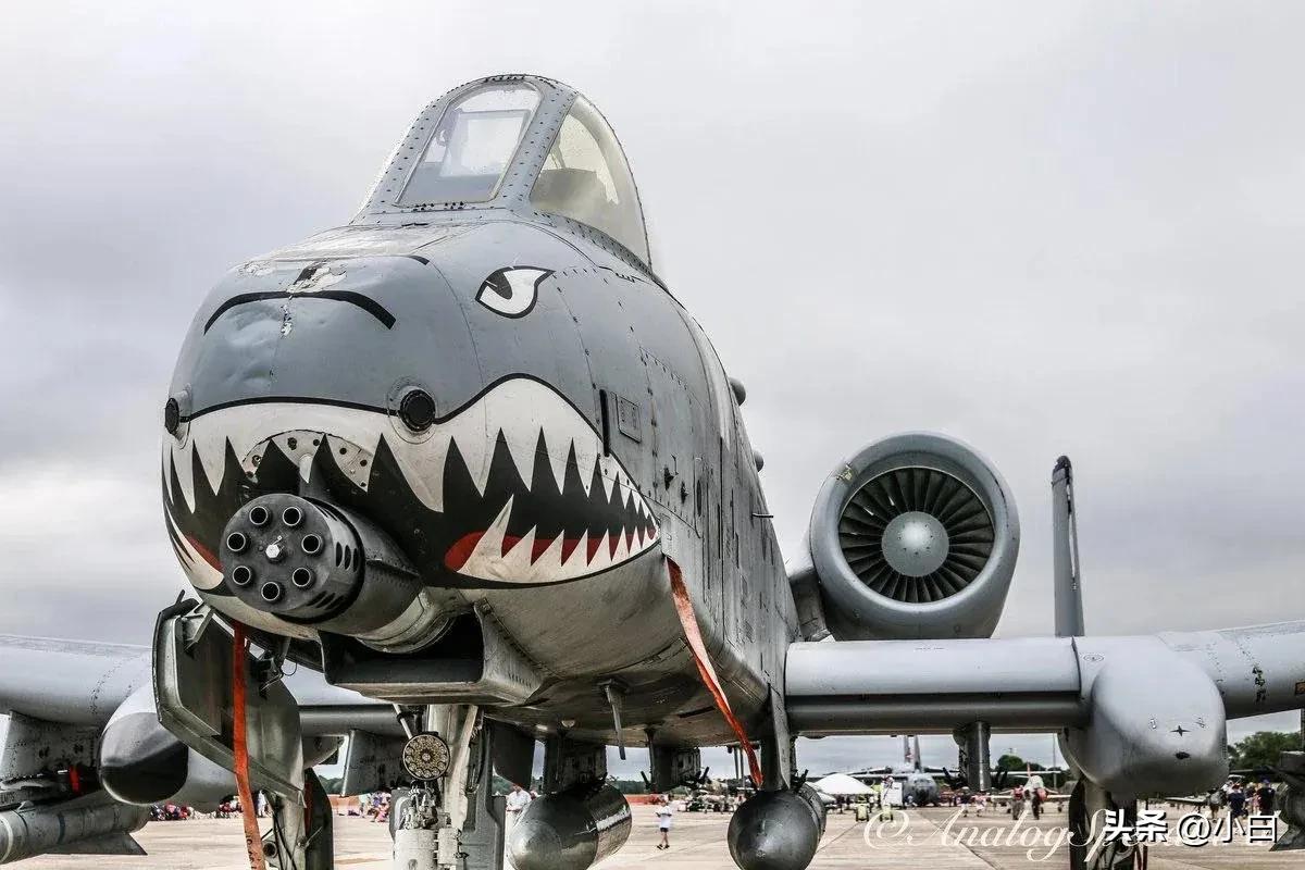 美国动用了 A-10 清扫赫尔姆兹海峡。

A-10“疣猪”有多可怕？它就是一门