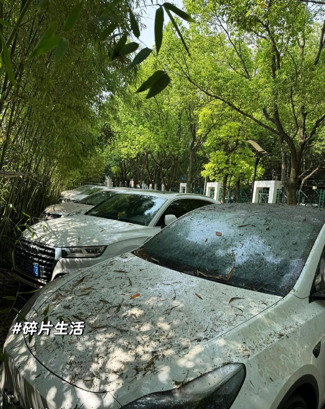 上海到底多少人真正需要私家车？

看看小区里这些车多少时间不动了？据我观察，小区
