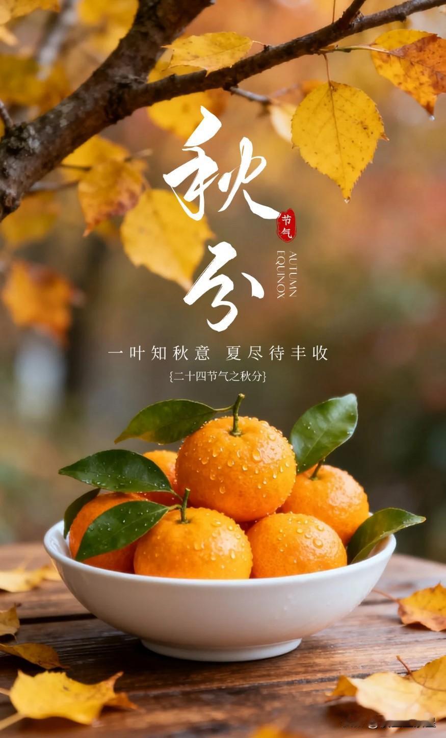 秋分节气昼夜等长，秋色平分日间有余夏，

日落有凉秋，燕将明日去，秋向此时分。