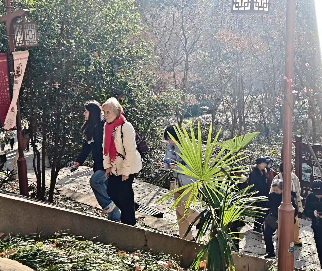 旅行随手拍冬日暖阳里，石阶蜿蜒，草木含青。中外友人结伴而行，步履轻缓，在这江南的