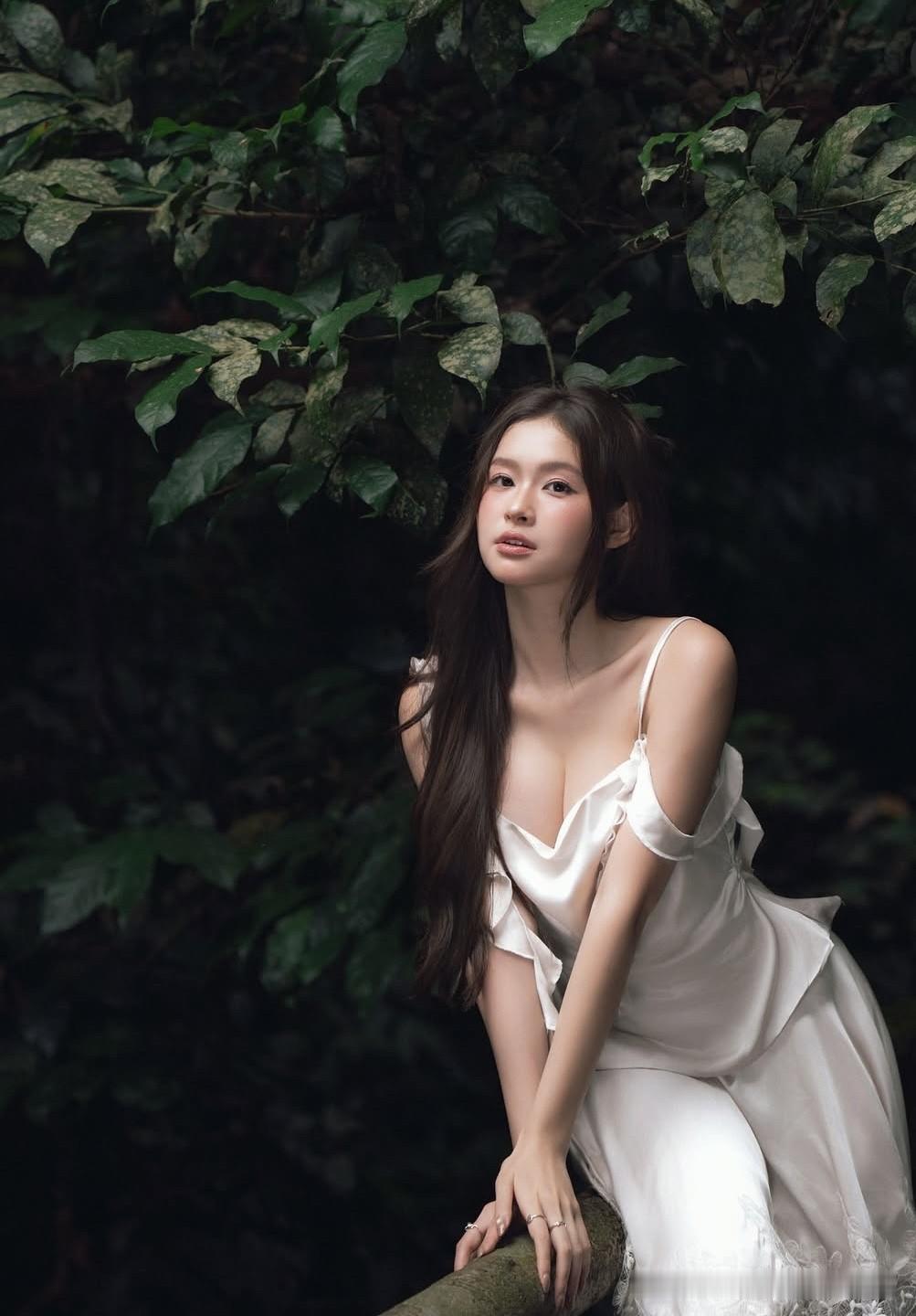 在越南北部的群山褶皱里，菊芳国家公园（Cúc Phương National P