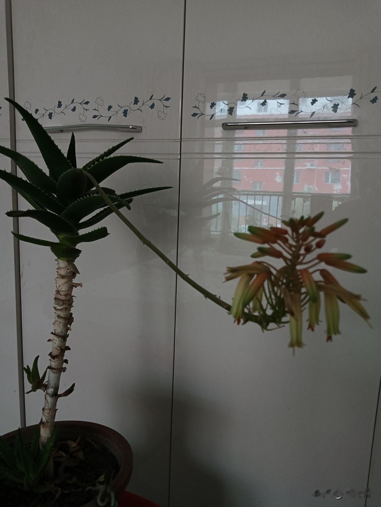 晒图笔记大赛 参加晒图笔记大赛简直太有意思啦！我之前参加过一次，那叫一个卷。大家