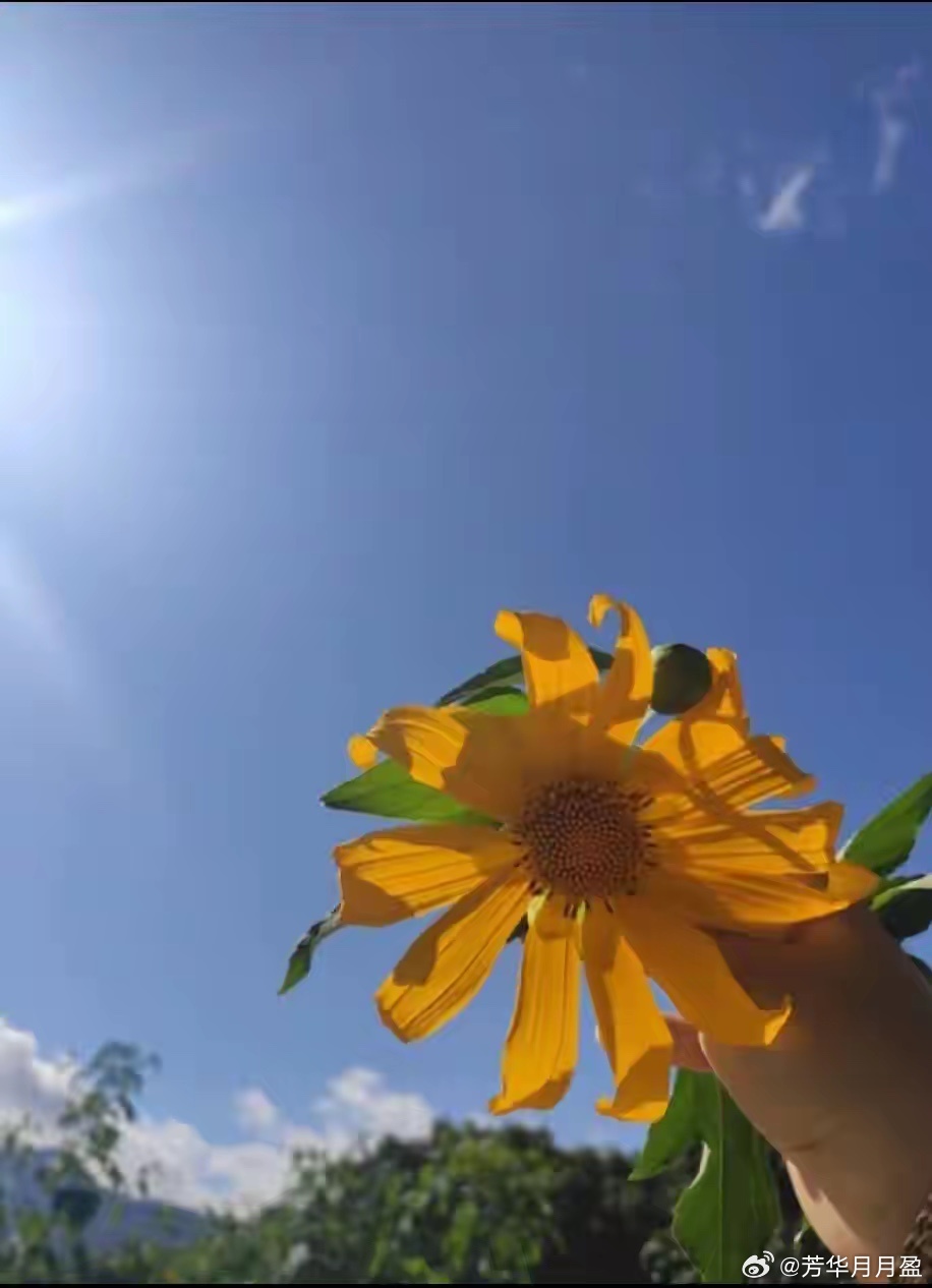 尼采说：“这世界上其实就你一个人，你在，一切都在。你不在，一切就消失了，所以请欣