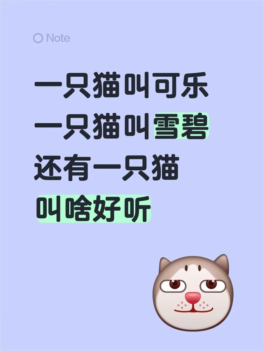一只猫叫可乐一只猫叫雪碧还有一只猫叫啥好听猫咪取名 猫咪名字 猫咪起名 汽水饮料