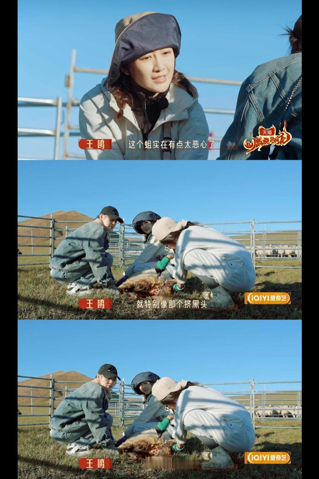 不少网友对张佳宁在这档节目的表现给予了高度评价，称赞她是“最暖的女孩”，并且表示
