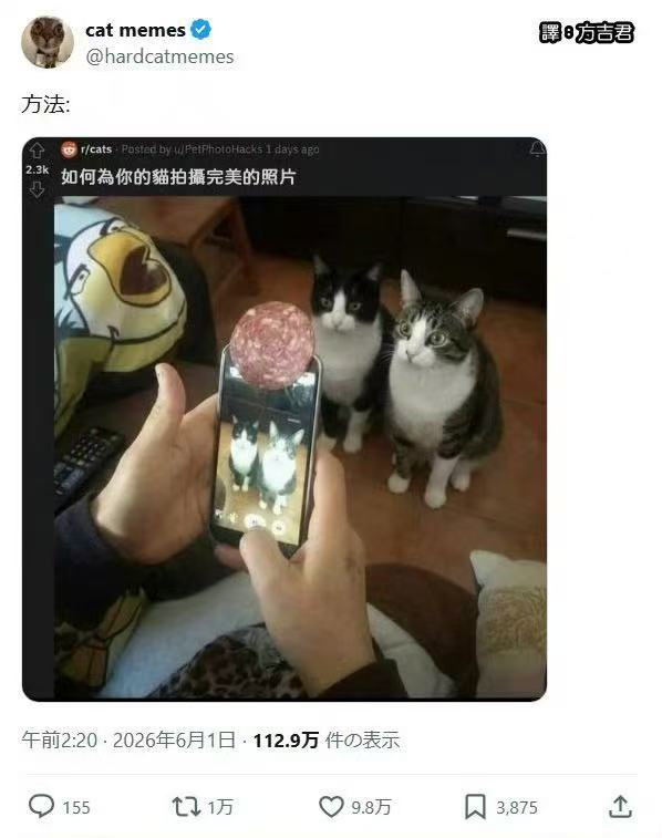看这里 