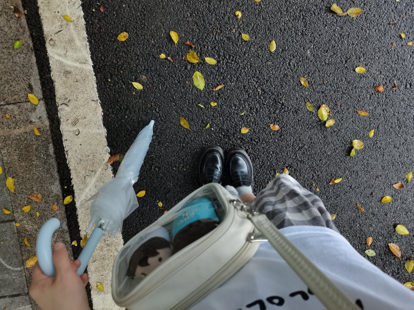 分享图片 