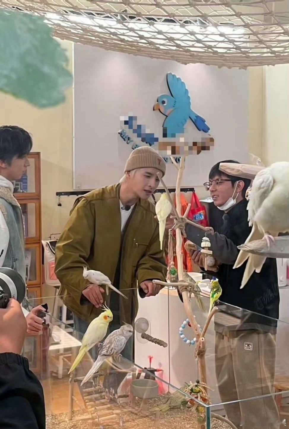 张远我家那小子官宣  光看路透已经迫不及待了 