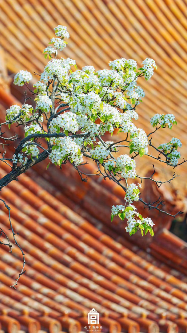 阳光信用  阳光信用 互动打卡 真实的幸福存在勇气之中。勇气才是「幸福之门」。 