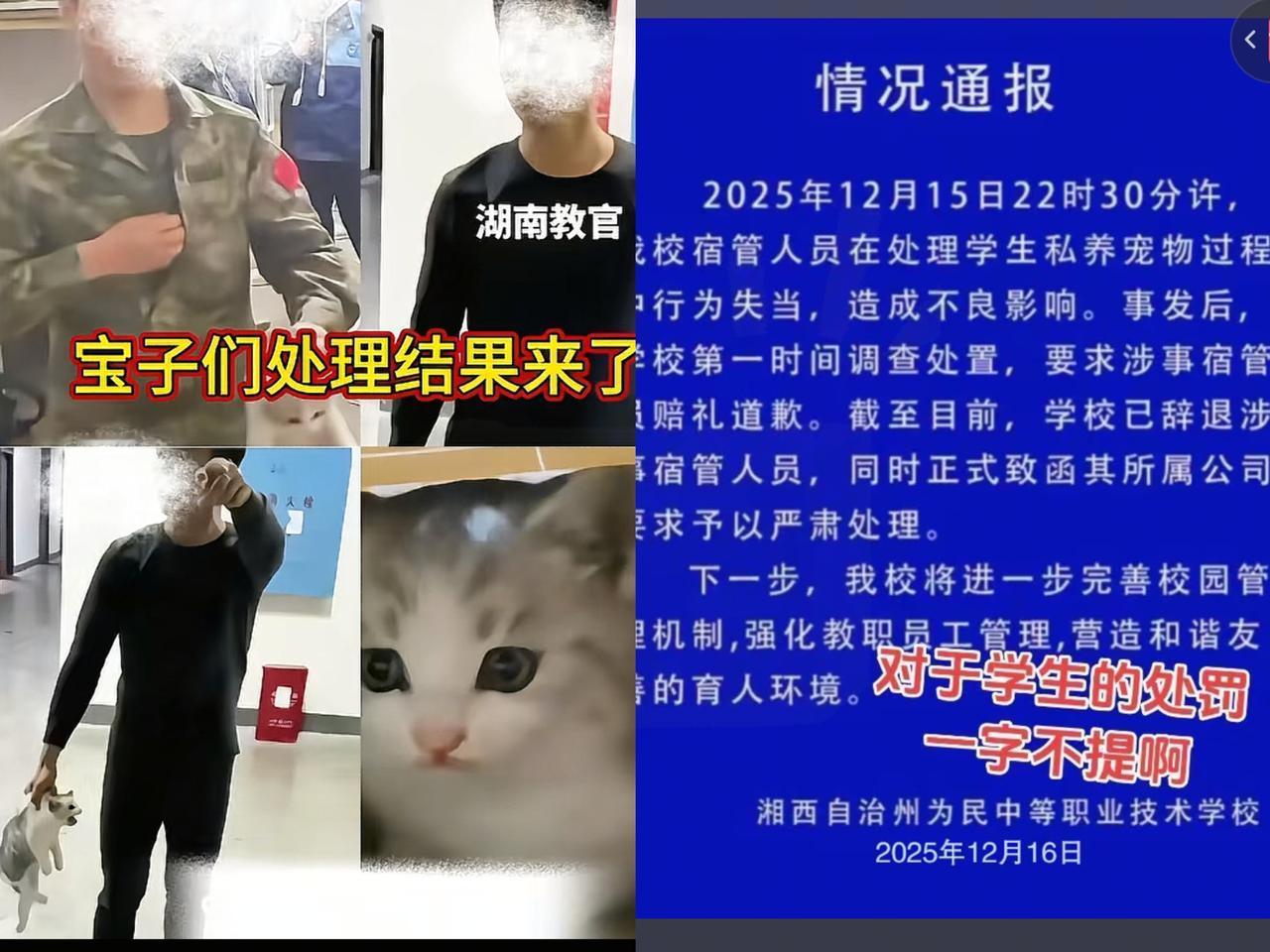 学校教官摔猫事件处理结果出来了：已经辞退并要求其赔礼道歉。
首先教官的身份不是教